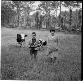 Bobine et bottes de paille
