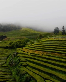 Connaissance du Monde : l'Inde