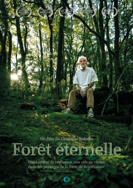 Forêt éternelle